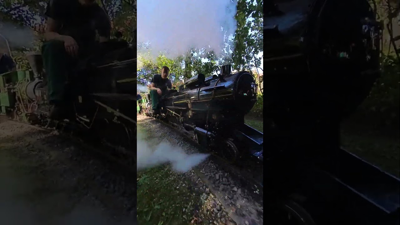 Steam power #rideonrailway #train #sevenandquarter