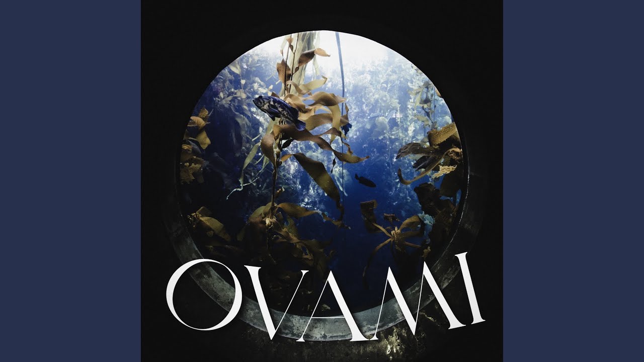 Ovami