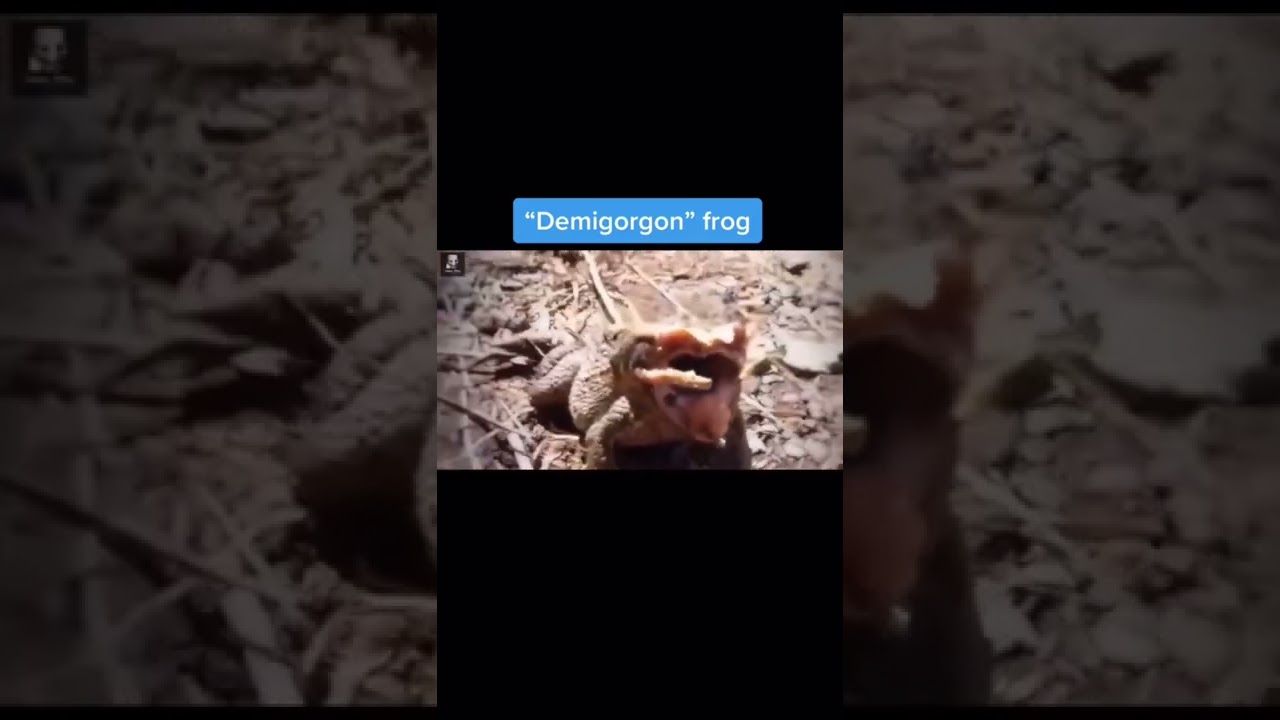 Nuclear Mutated Animals From Chernobyl 