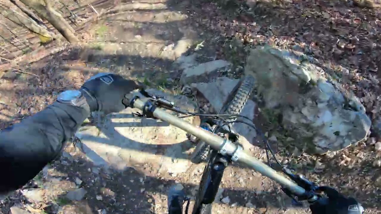 Lake Leatherwood Bike Park 2025 // OGre Run