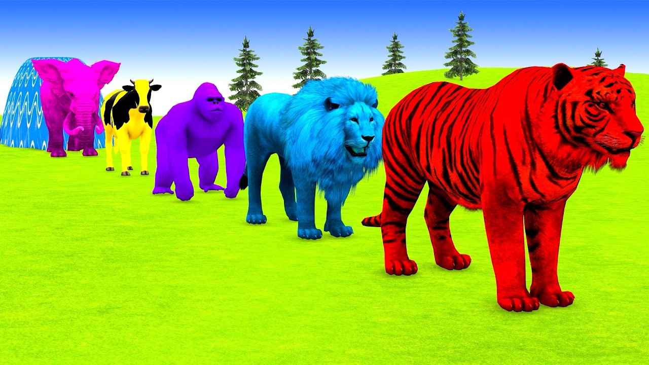 Long Slide Game With Elephant Gorilla Buffalo Hippopotamus Tiger - 3d Animal Game - Funny 3d Animals