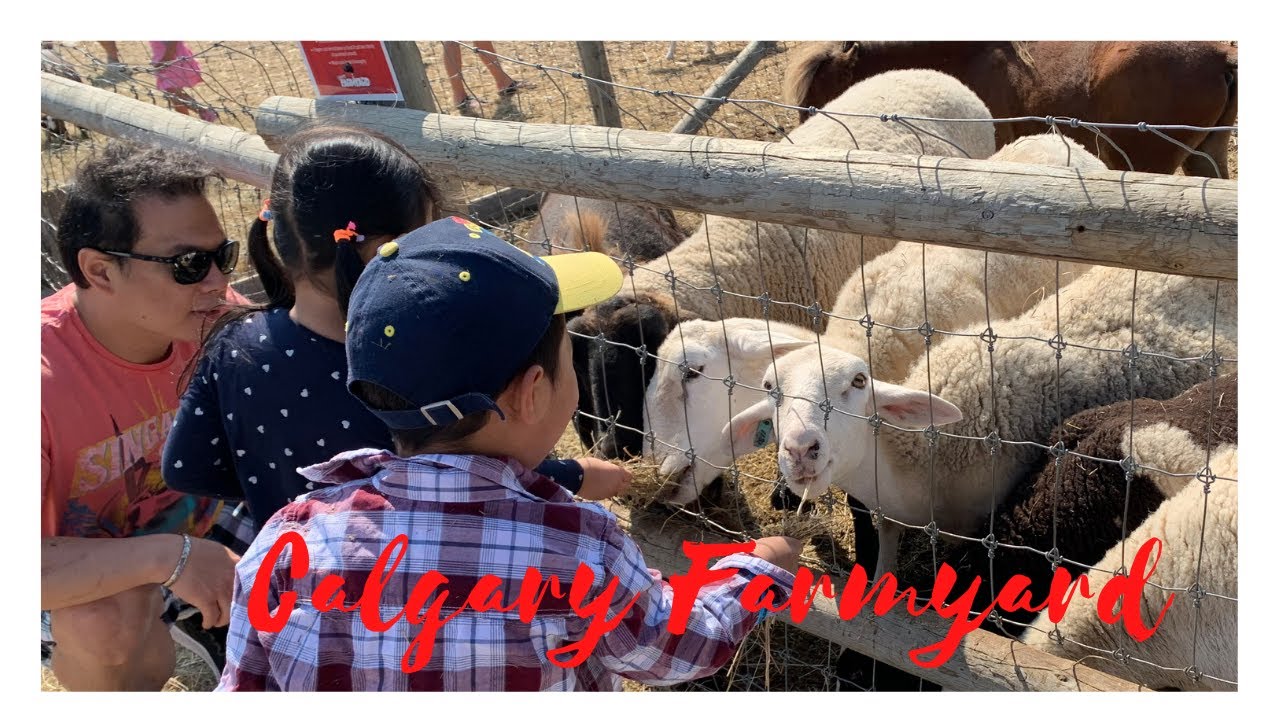 Calgary Farmyard | The Besty Vlog | Summer 2021 |