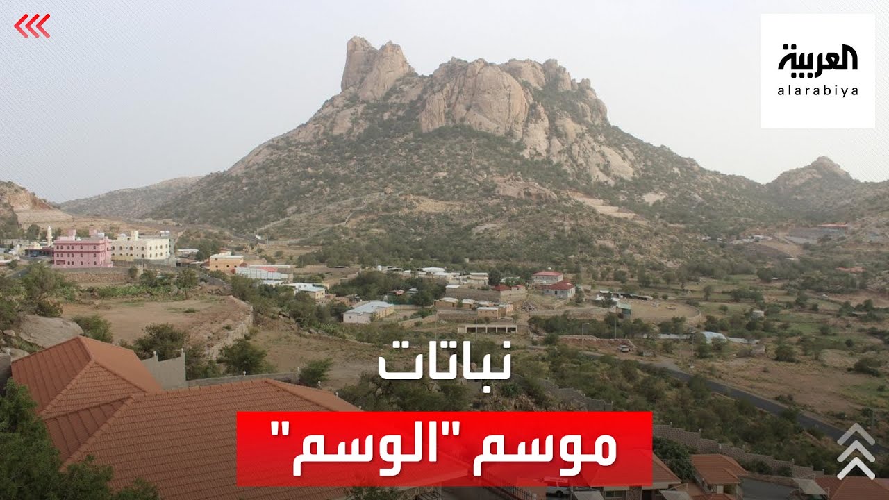تقويم | تعرف على نباتات موسم الوسم.