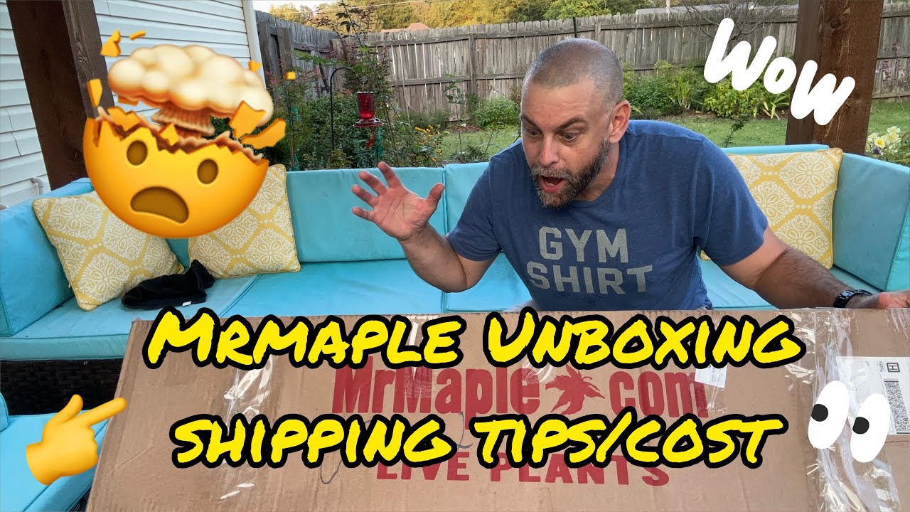 Unboxing Japanese Maples from MrMaple and shipping tips and codes to help maximize your money!