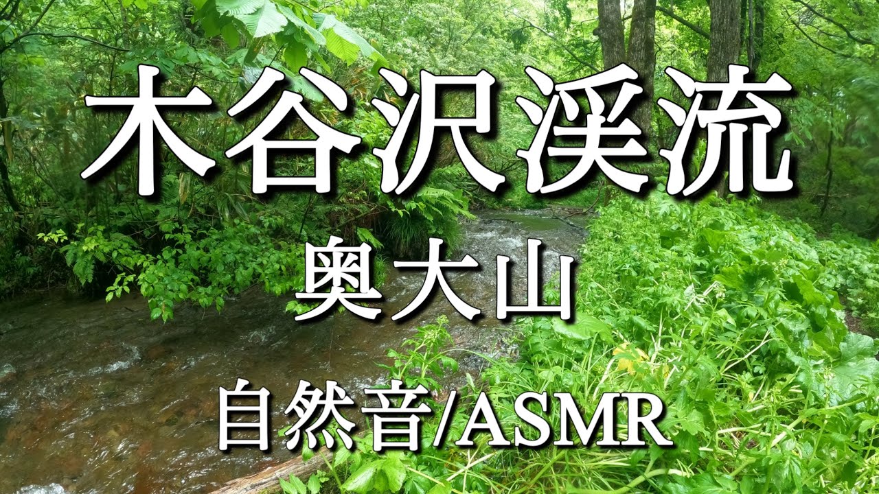 【木谷沢渓流】＃素敵なピアノBGM＃ASMR＃川のせせらぎ＃鳥の鳴き声＃自然清涼風景