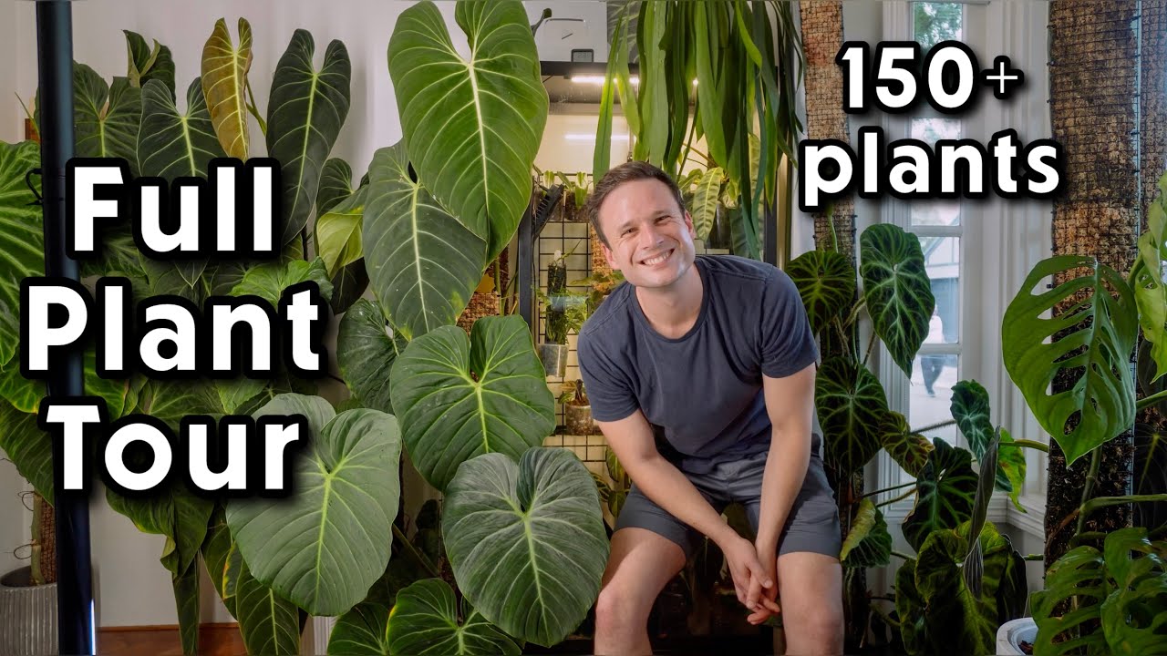 Full House & Garden Tour 2024 - every plant I grow 🪴