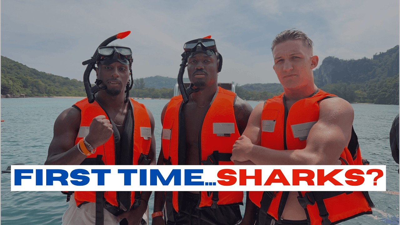 First Time Sharks?! Island Hopping Thailand 🇹🇭 | Snorkeling, Muay Thai & Crazy KOs