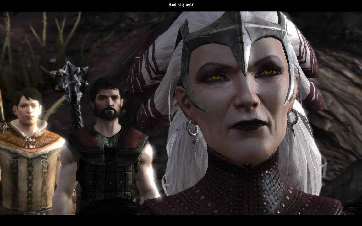 Dragon Age 2 Flemeth 1/2