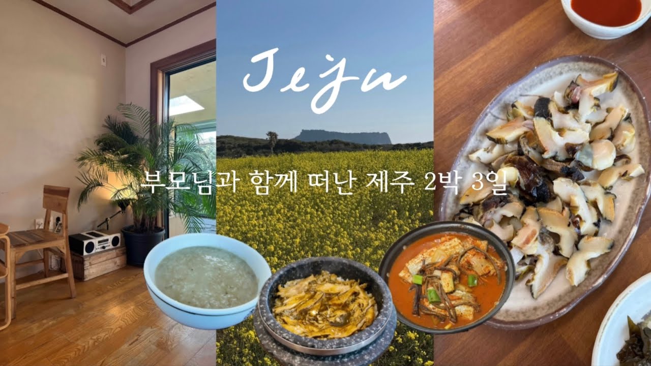 제주 가족여행 ep.1🌼 부모님이 칭찬하신 제주 동쪽 여행코스🍃제주도 렌트카, 숙소 추천, 동쪽 맛집, 카페, 우도 당일치기 여행