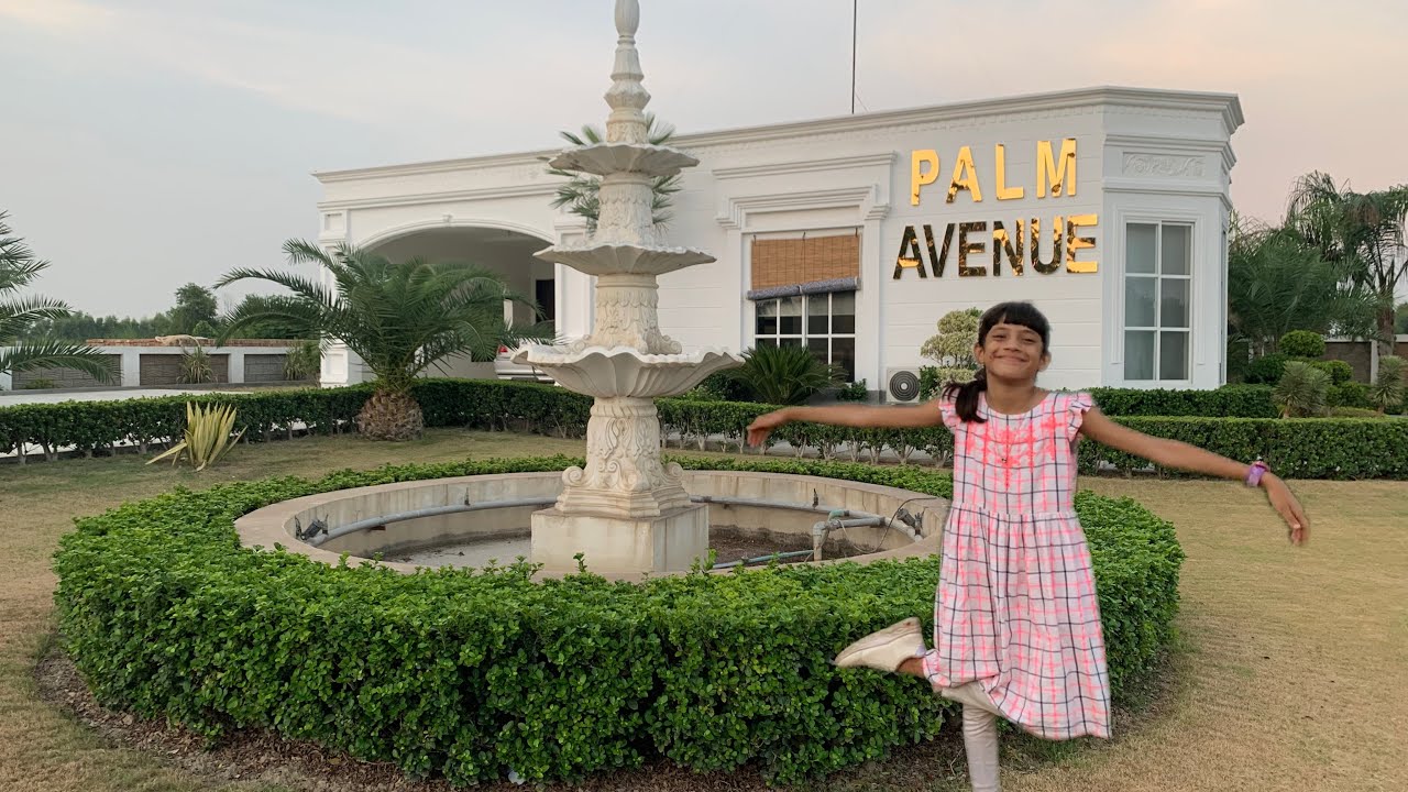 Palm avenue housing society complete vlog||