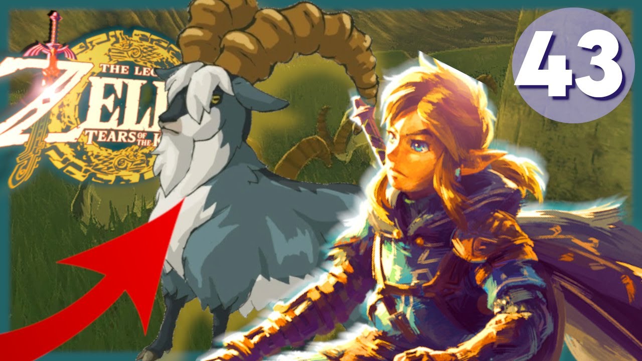 Ch&egrave;vres en fuite : Zelda Tears of the Kingdom #43