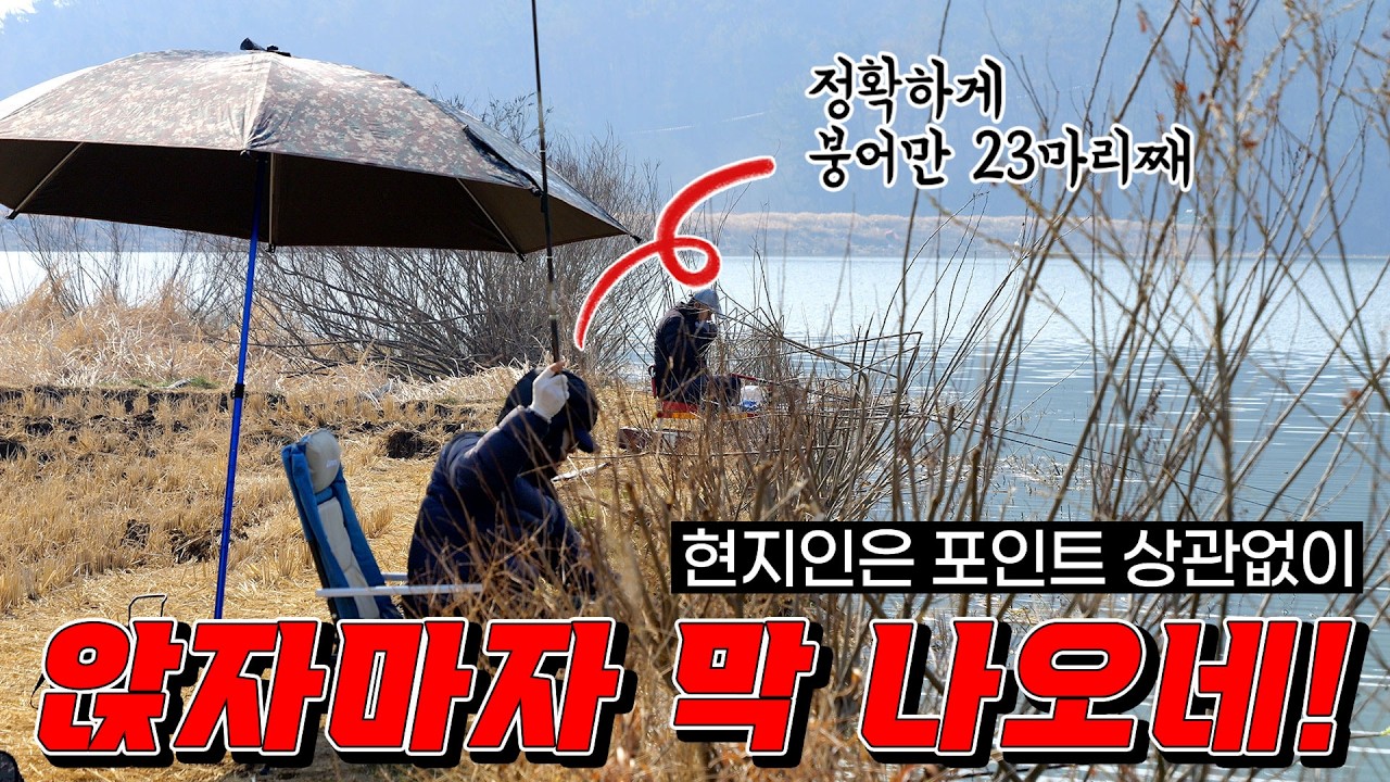 산란철은 스피드!! 현지인 속보!! 충남 초특급 대물터!! 옆 조사님 오자마자 붕어 20마리!! 보트에서는 4짜 마릿수!! 붕어 기록경신 하고싶어? 여기가 제일 빨라!! 빨리와!!
