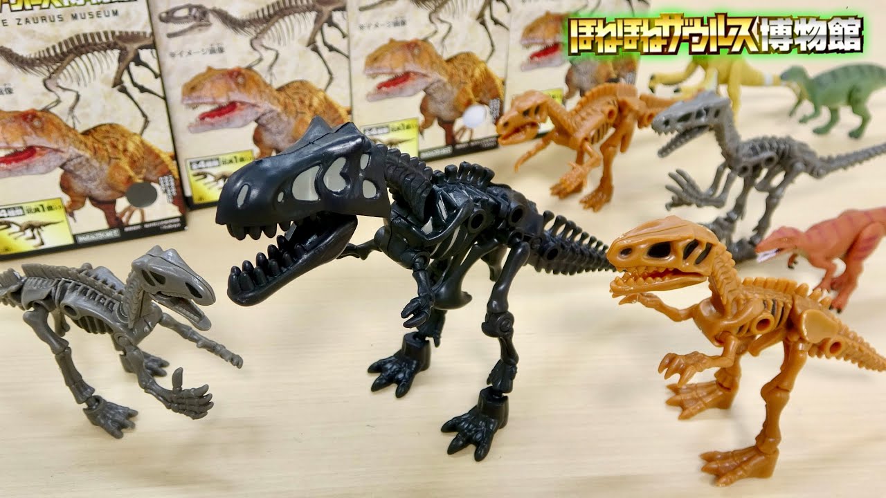 福井の恐竜がほねほねザウルスで登場! 全4種類集めて巨大な『ティラノサウルス』が完成! 組み立てた迫力の恐竜をレビュー