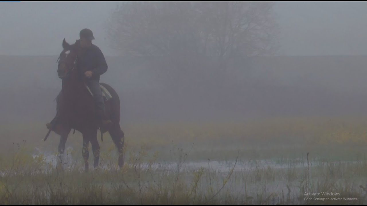 The rhythm of the horse and the mist