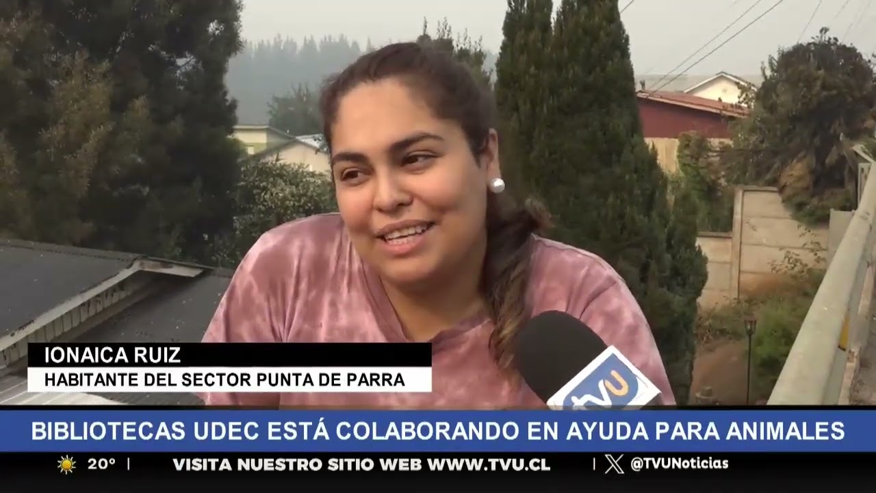 Comunidad de Punta de Parra se organiza para remover escombros tras incendios