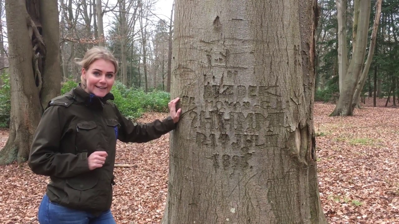 Wandelen door Klein Zwitserland | Vlog Boswachter Hanne | #77