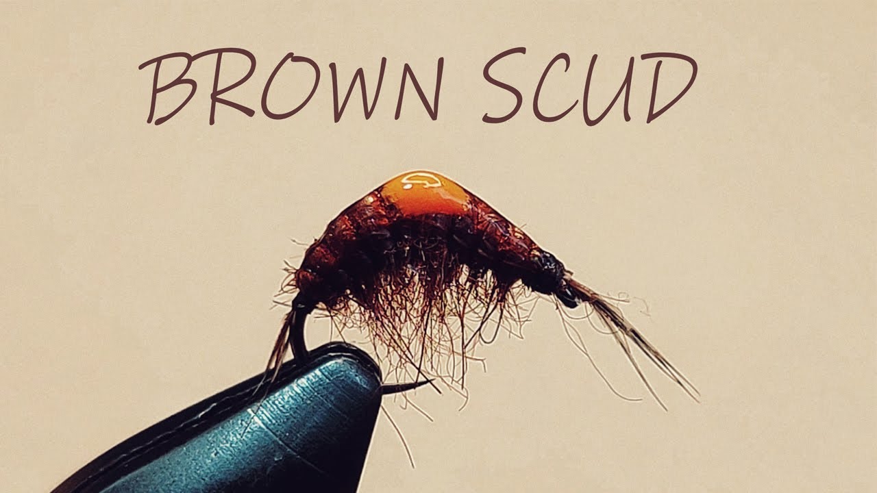 Fly tying: Brown Scud