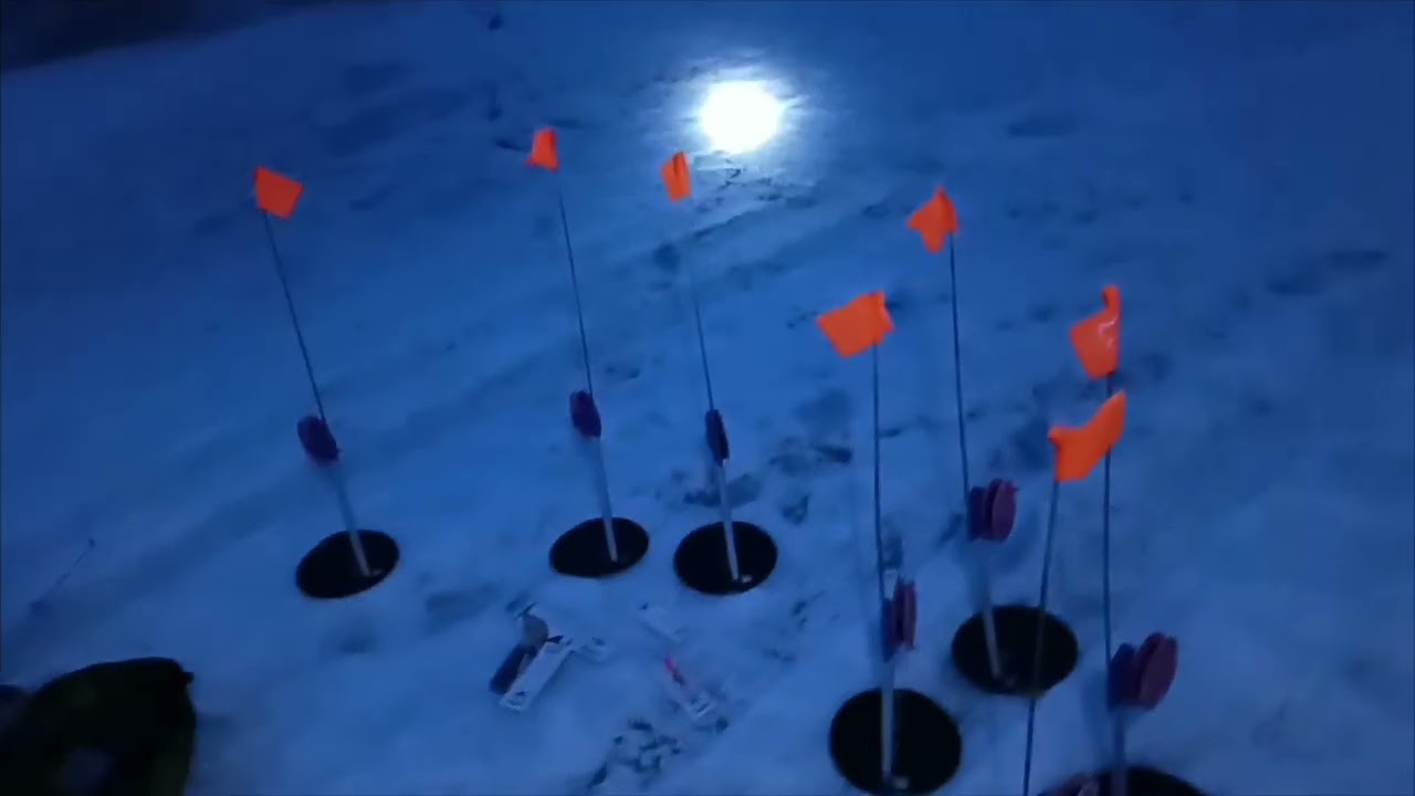 #Торғай #