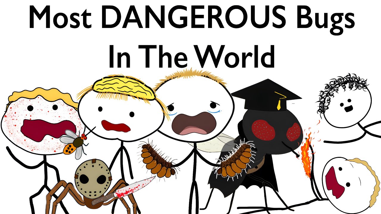 Most DANGEROUS Bugs In The World