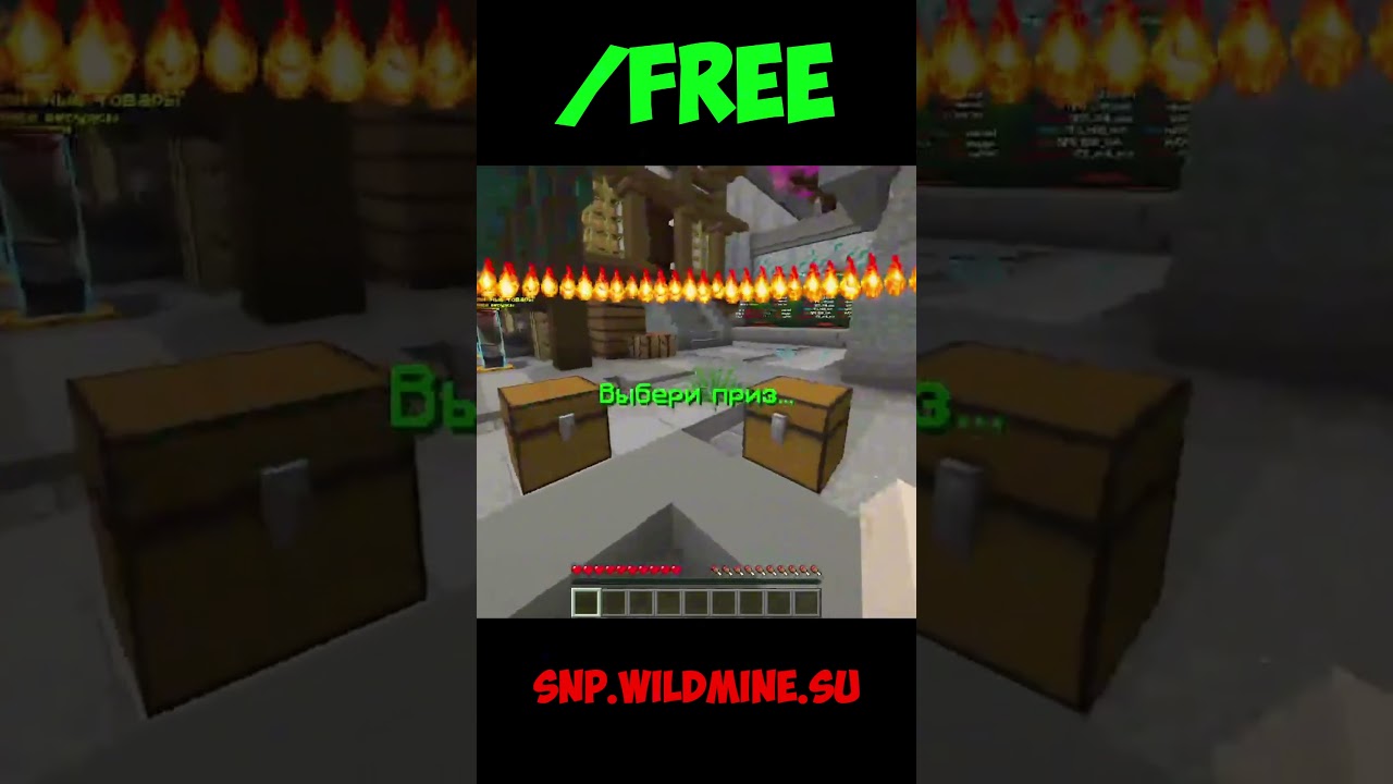 snp.wildmine.su 