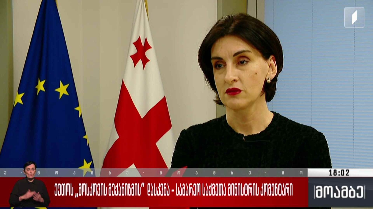 ეუთო-ს „მოსკოვის მექანიზმის“ დასკვნა - საგარეო საქმეთა მინისტრის კომენტარი