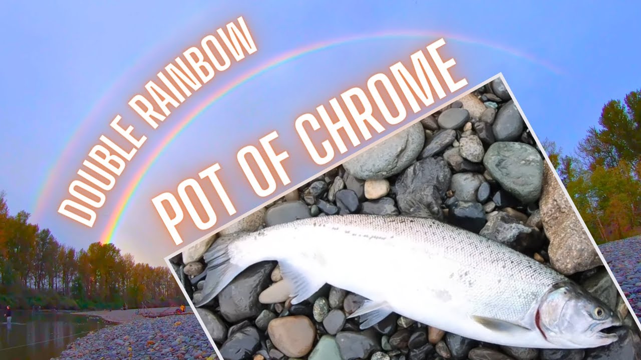 Coho Salmon Fishing Vedder River: Float & Casting Techniques for More Bites!