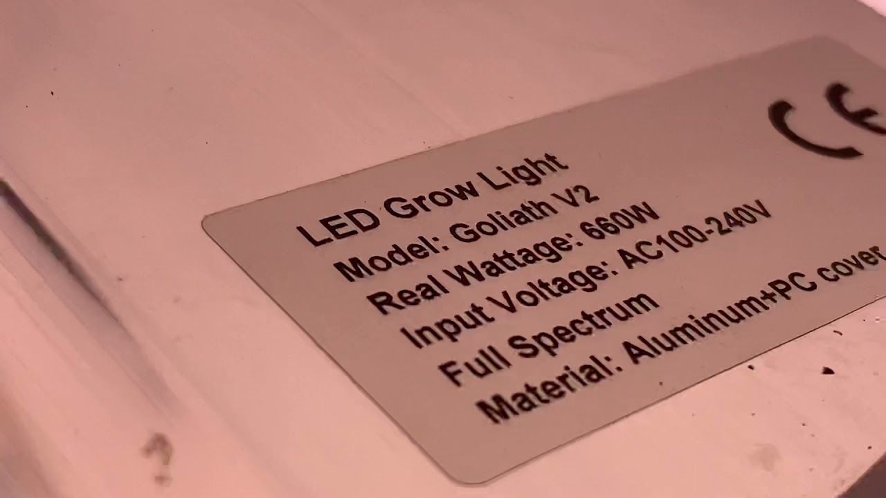 Yes sir 2 Goliath v2. Perfect sun led