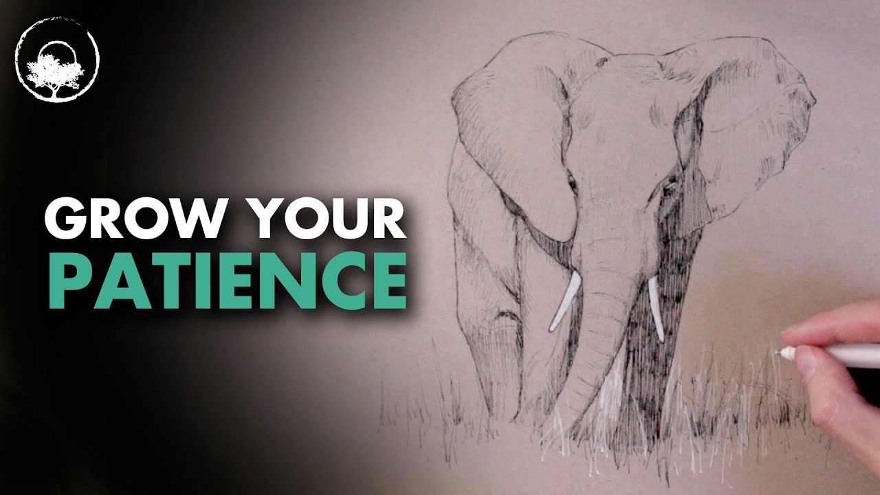 Cultivating Patience for Drawing