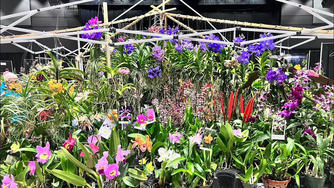 Nature Nel is live at the Ft. Lauderdale Orchid Society Gala 2025.