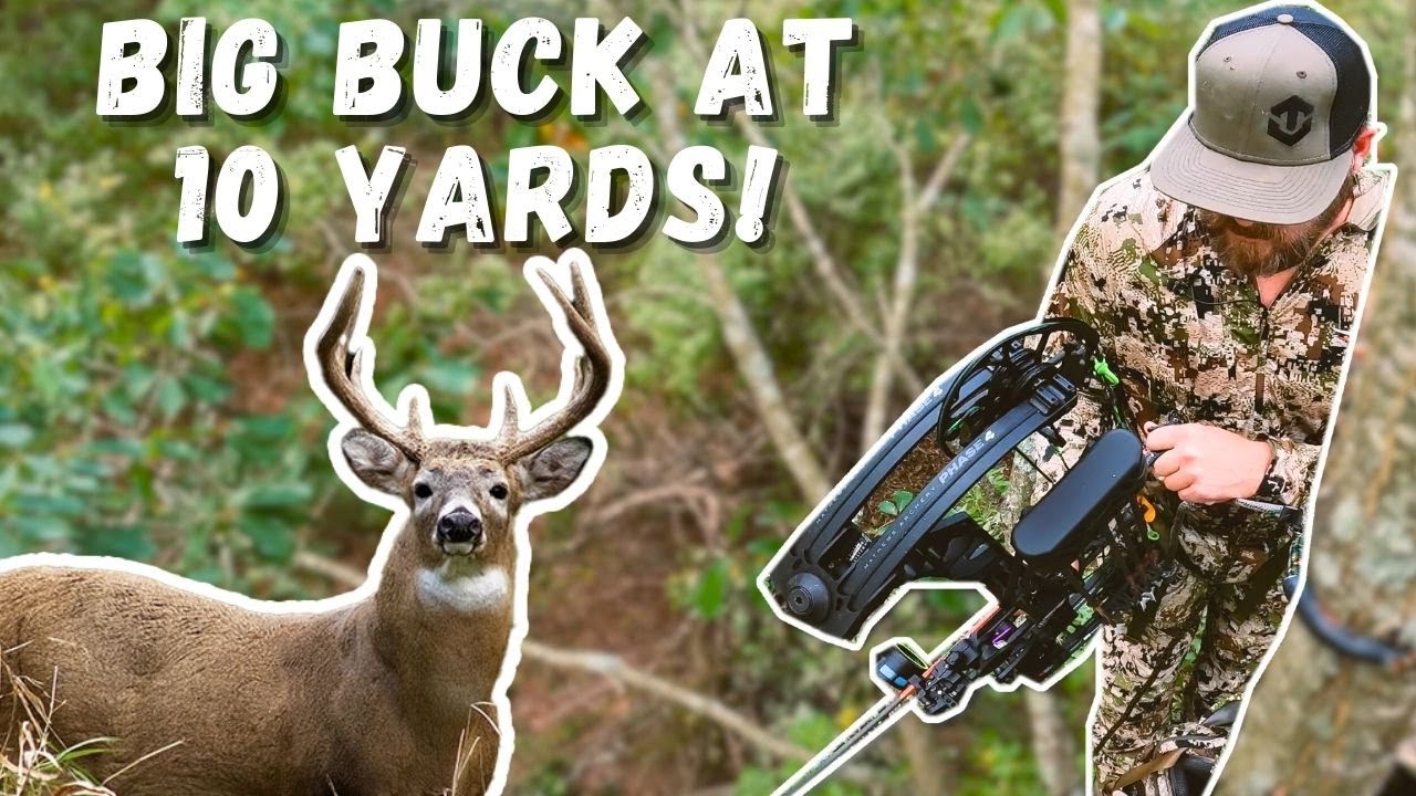 BIG BUCK at 10 YARDS! - LAST DAY of an Early Season Kentucky Trip