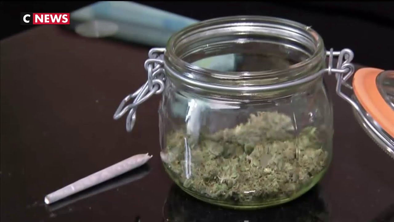 La l&eacute;galisation du cannabis th&eacute;rapeutique fait son chemin en France