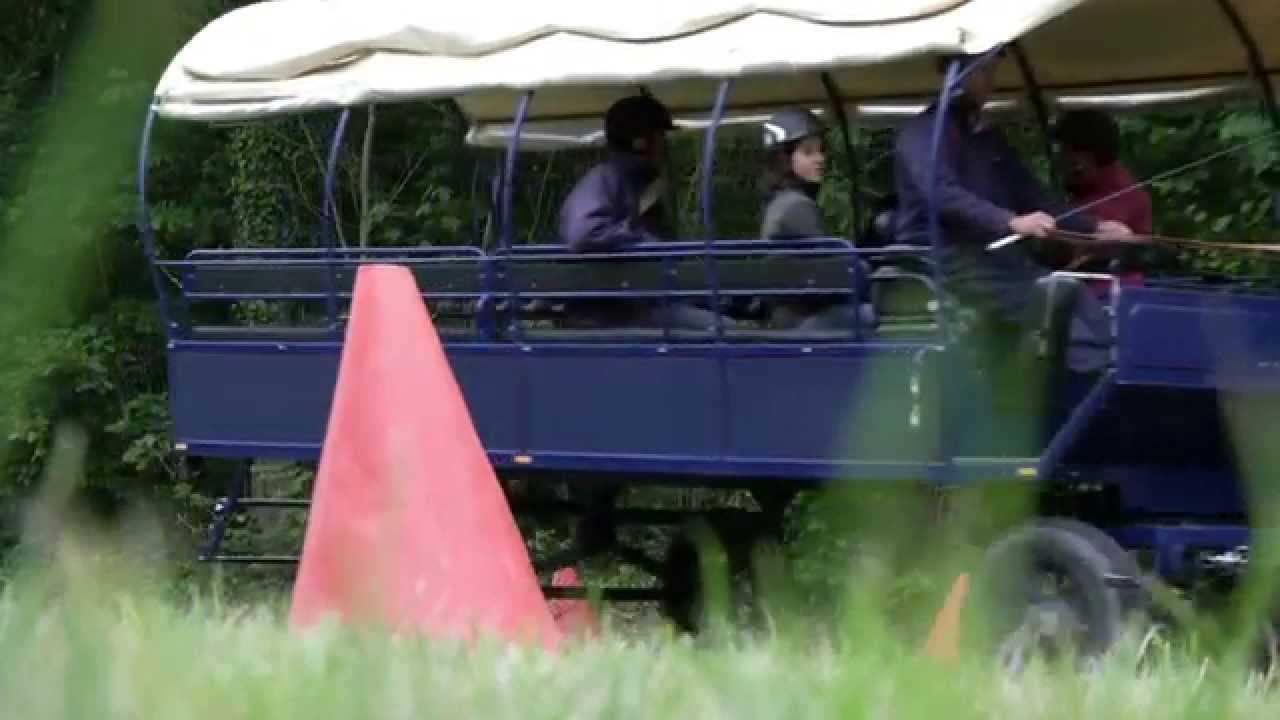 CS Utilisateur de chevaux attelés