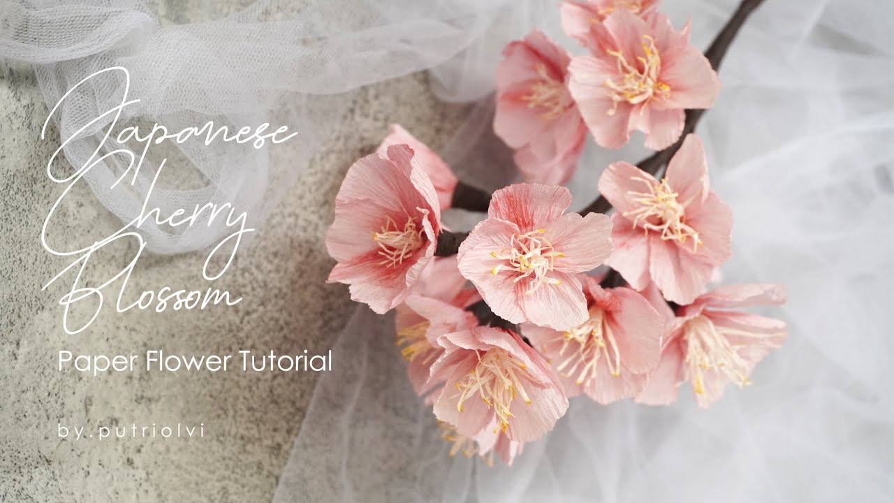 DIY How to Make Cherry Blossom using Crepe Paper l Cara Membuat Bunga Sakura | By putriolvi