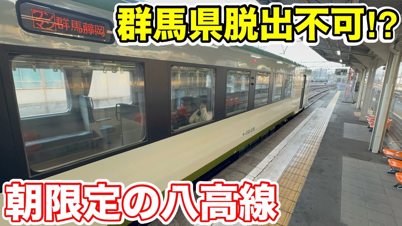 【群馬県から脱出不可⁉︎】新設された朝限定の八高線に乗ってみた