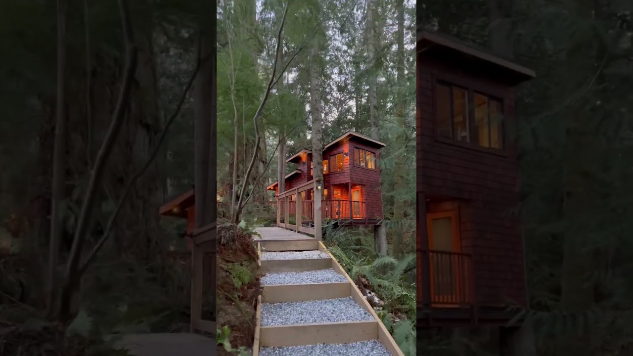 Dream house in the forest!