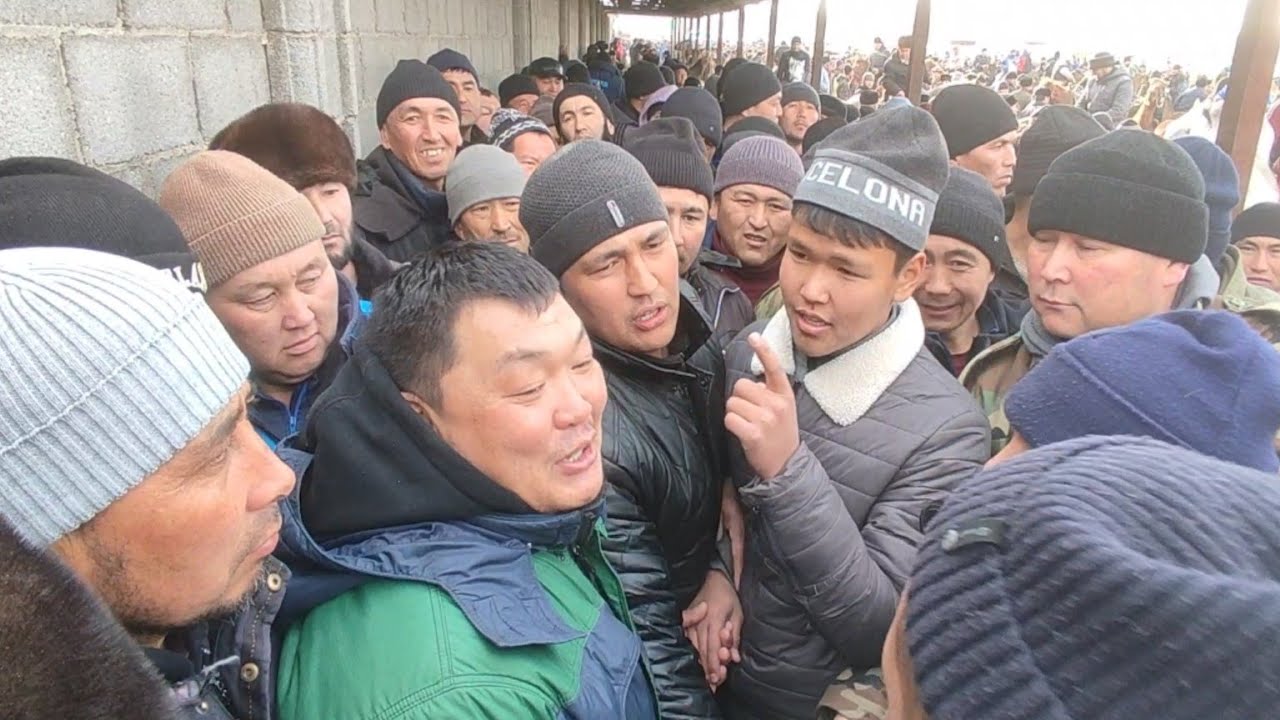 Базар-Коргон ат базары.