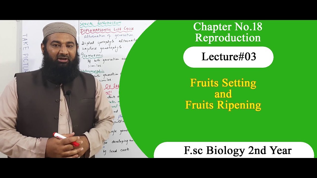 Biology Ch#18-Lecture#03 Fruits setting  (F.Sc 2nd Year)