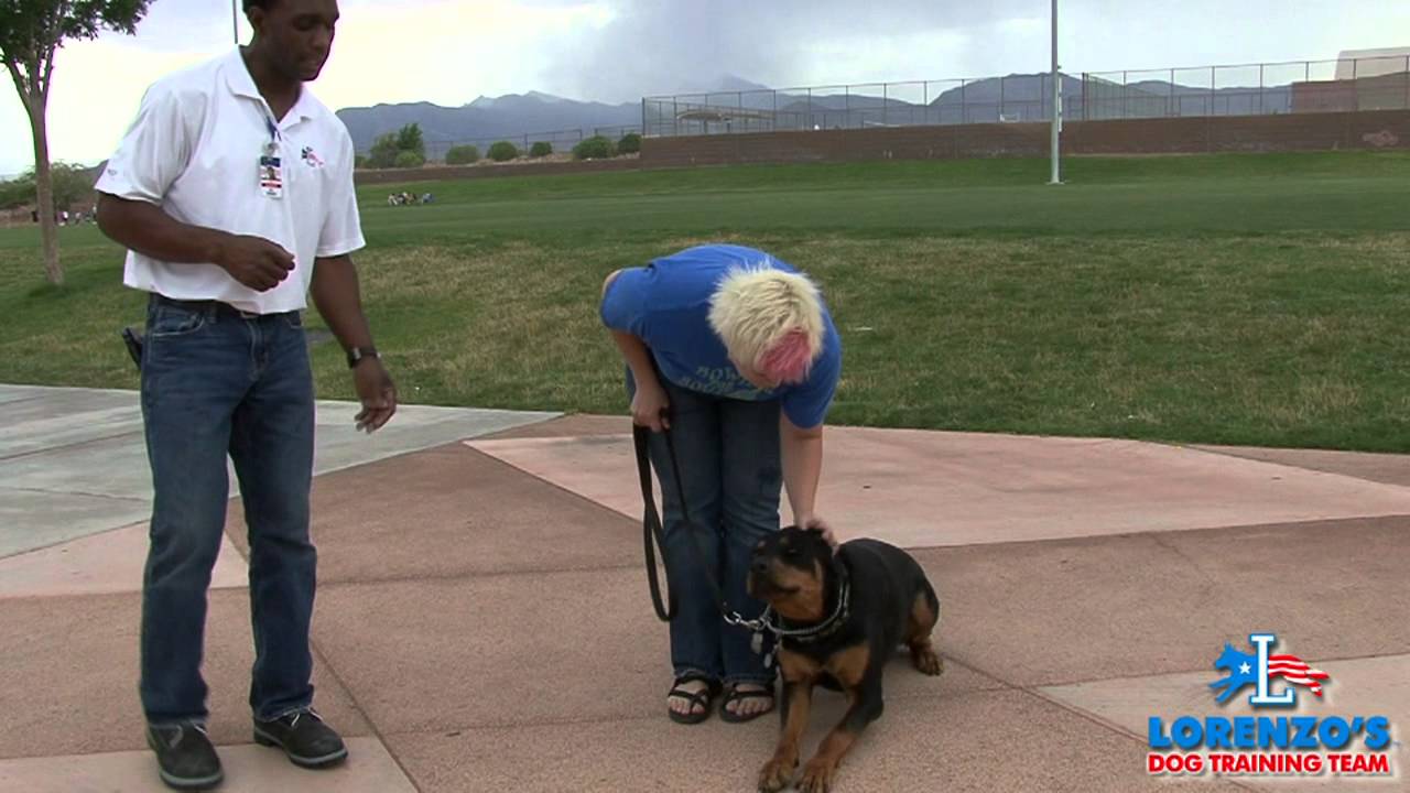 Lorenzo's Dog Training Team Outdoor Demonstration