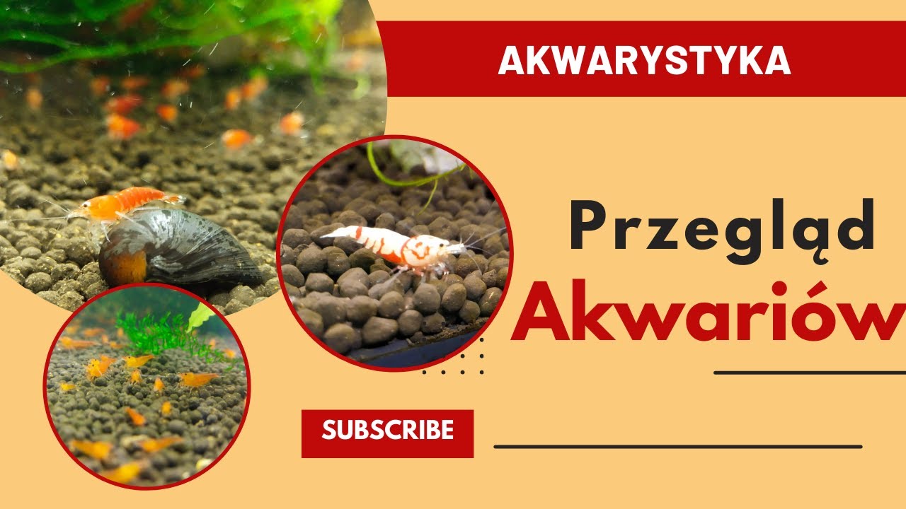 Moja akwarystyka. Przegląd moich zbiornik&oacute;w