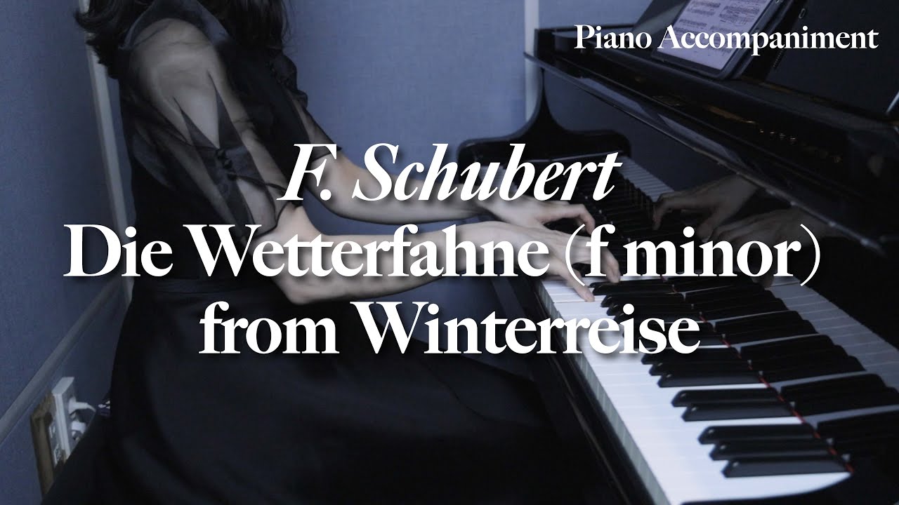 Die Wetterfahne (f minor) from Winterreise D.911 - F. Schubert /piano accompaniment / 독일가곡 / karaoke