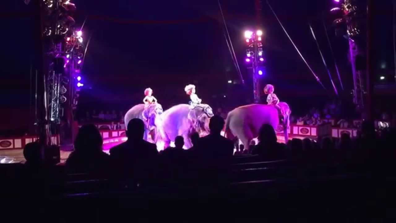 Circus Krone - Elefanten - Evolution 2015