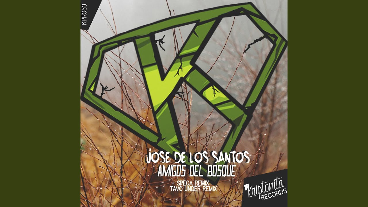Amigos Del Bosque (Original Mix)