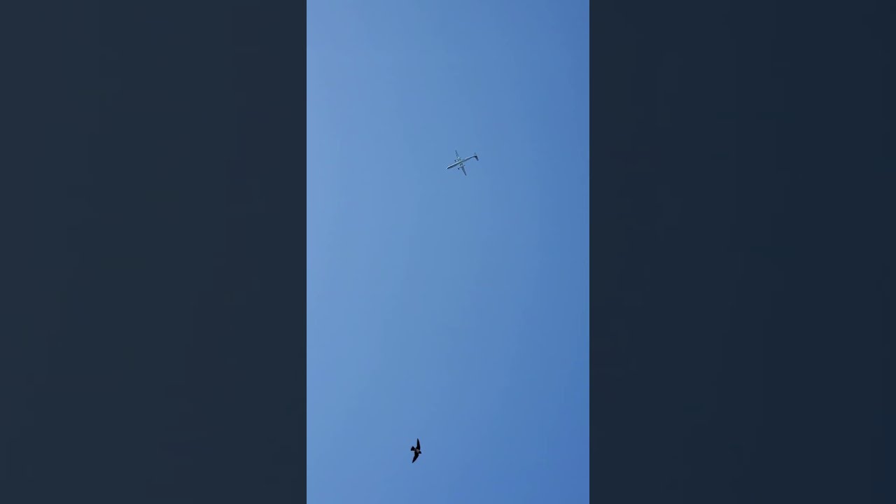 #oregon stuff | #Jazzair #deHavilland #Dash 8-400 #takeoff #JZA653 🤠🤙🤙 #PDX #YVR #portland #marina