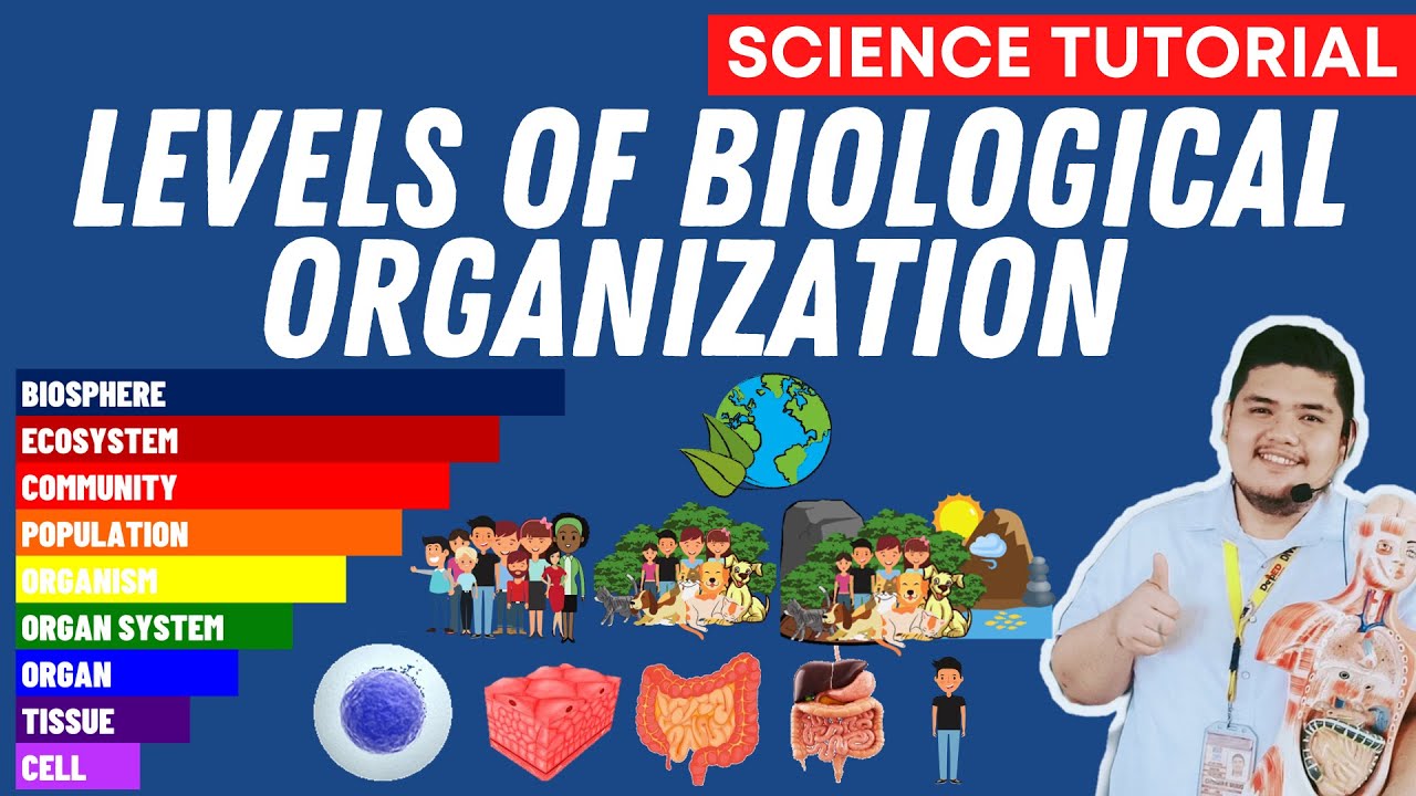 LEVELS OF BIOLOGICAL ORGANIZATION SCIENCE 7 QUARTER 2 MODULE 2 WEEK 3
