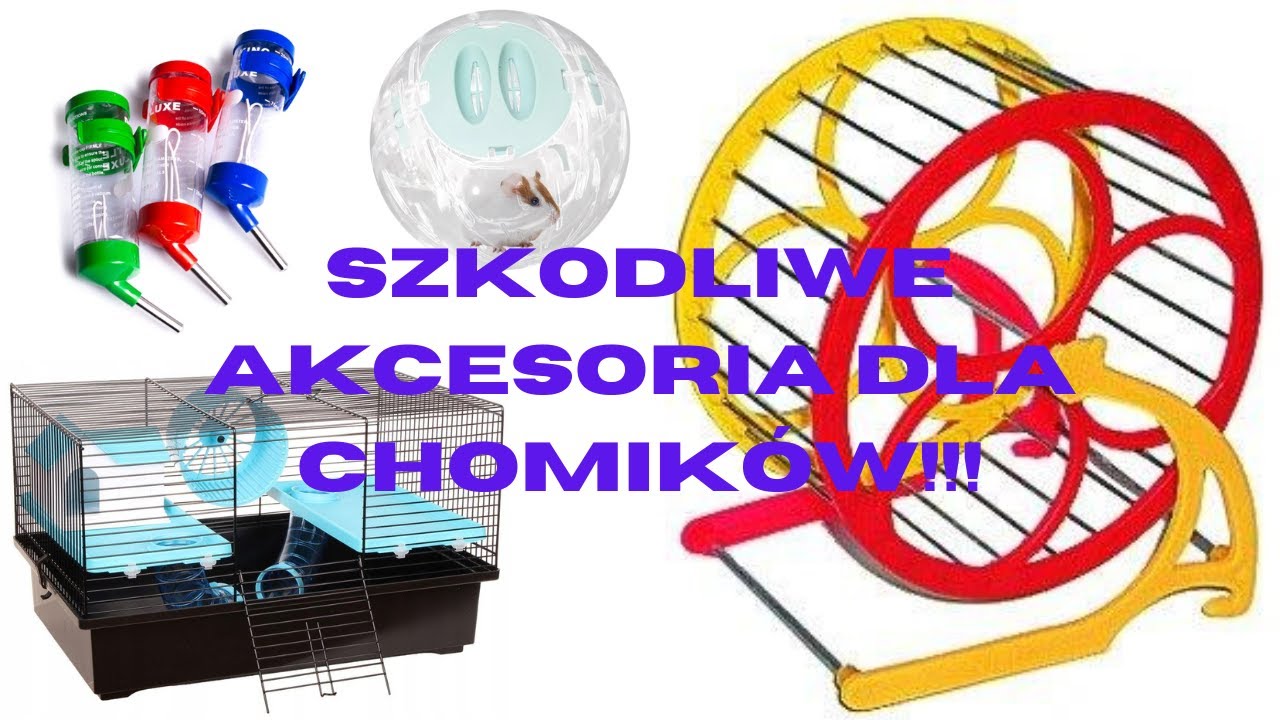 Szkodliwe rzeczy dla chomików Part 1 (edycja akcesoria)