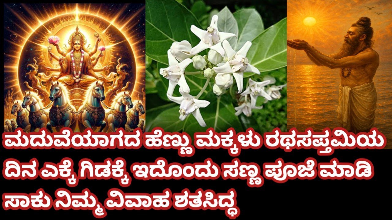 ರಥಸಪ್ತಮಿಯ ಶ್ಲೋಕ, ಪೂಜಾ ವಿಧಾನ || ರಥಸಪ್ತಮಿಯ ದಿನ ಮದುವೆಯಾಗದ ಹೆಣ್ಣು ಮಕ್ಕಳು ಎಕ್ಕದ ಗಿಡಕ್ಕೆ ಈ ಸಣ್ಣ ಪೂಜೆ ಮಾಡಿ 