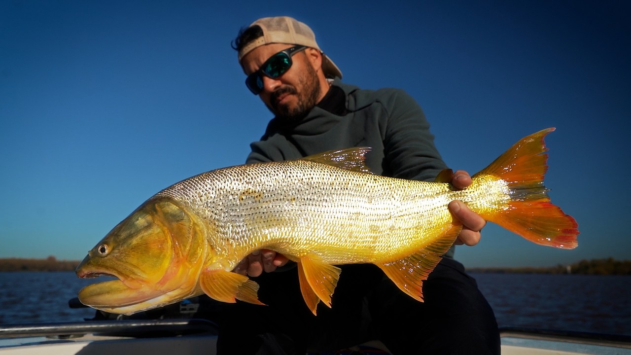 Pesca en el Río de la Plata. 3 especies en un dia . Pejerrey , Dorado y Bagre de mar con Elias Mica