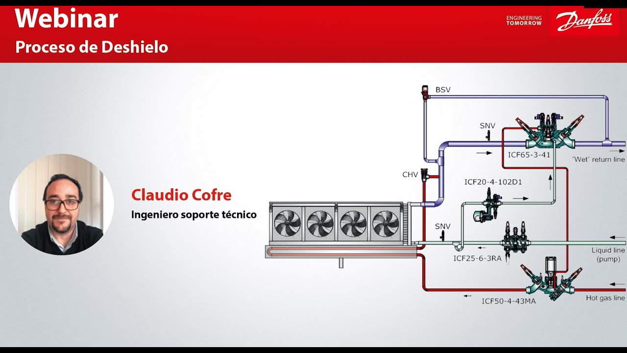 Webinar: Proceso de Deshielo