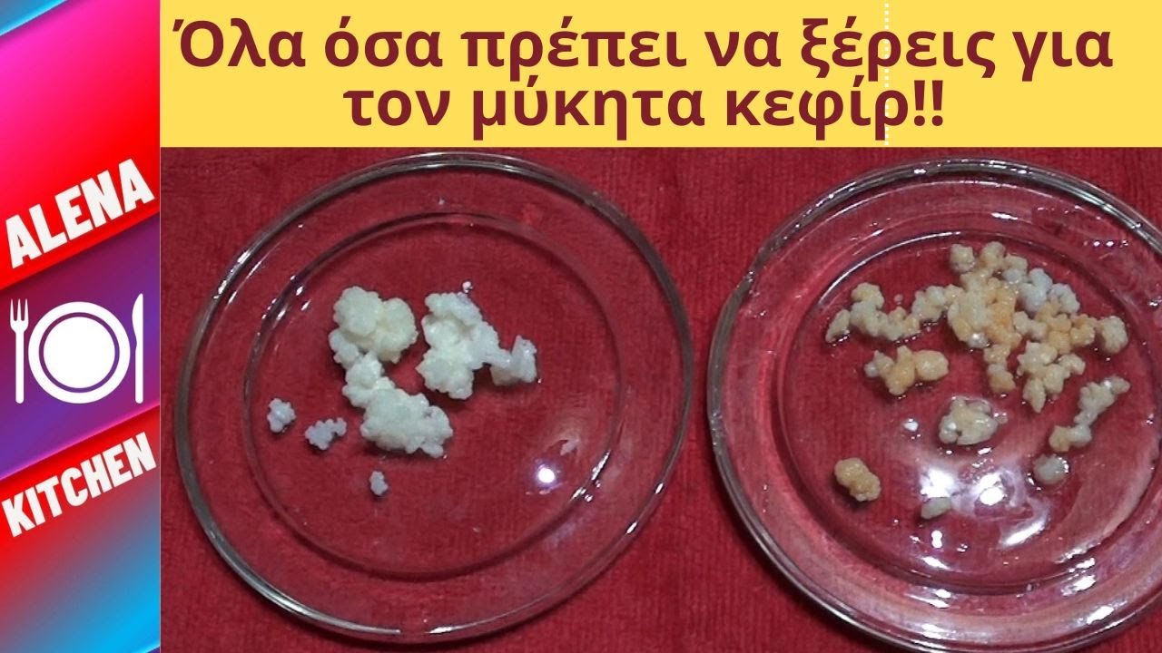 ΚΕΦΙΡ ΥΓΙΗΣ ή ΜΗ ΥΓΙΗΣ ΜΥΚΗΤΑΣ | ΔΙΑΤΗΡΗΣΗ - ΚΑΤΑΨΥΞΗ - ΑΠΟΞΗΡΑΝΣΗ & ΕΠΑΝΑΦΟΡΑ | Alena Kitchen