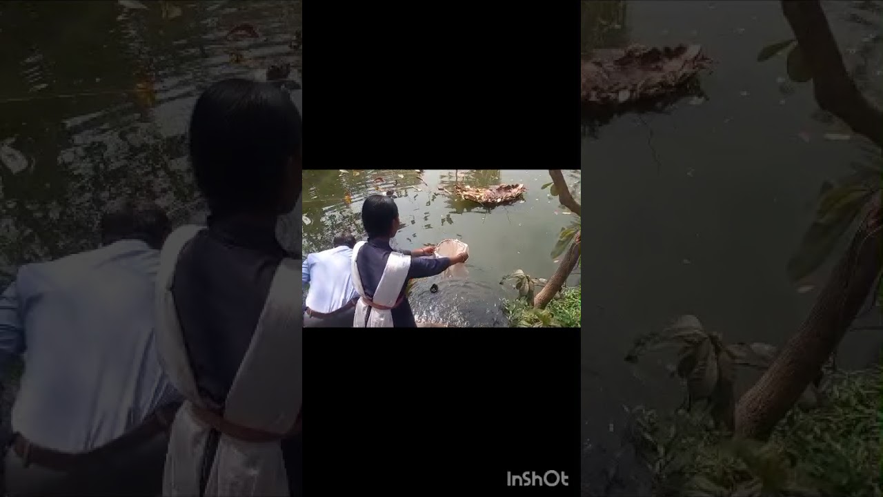 The Environmental Kidney observation by students 